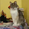 Отзыв от Галя Русанова